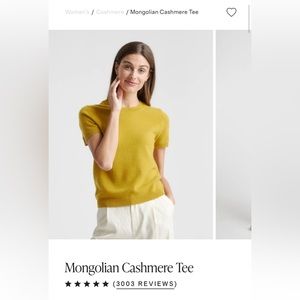 Everlane Mongolian Cashmere Tee